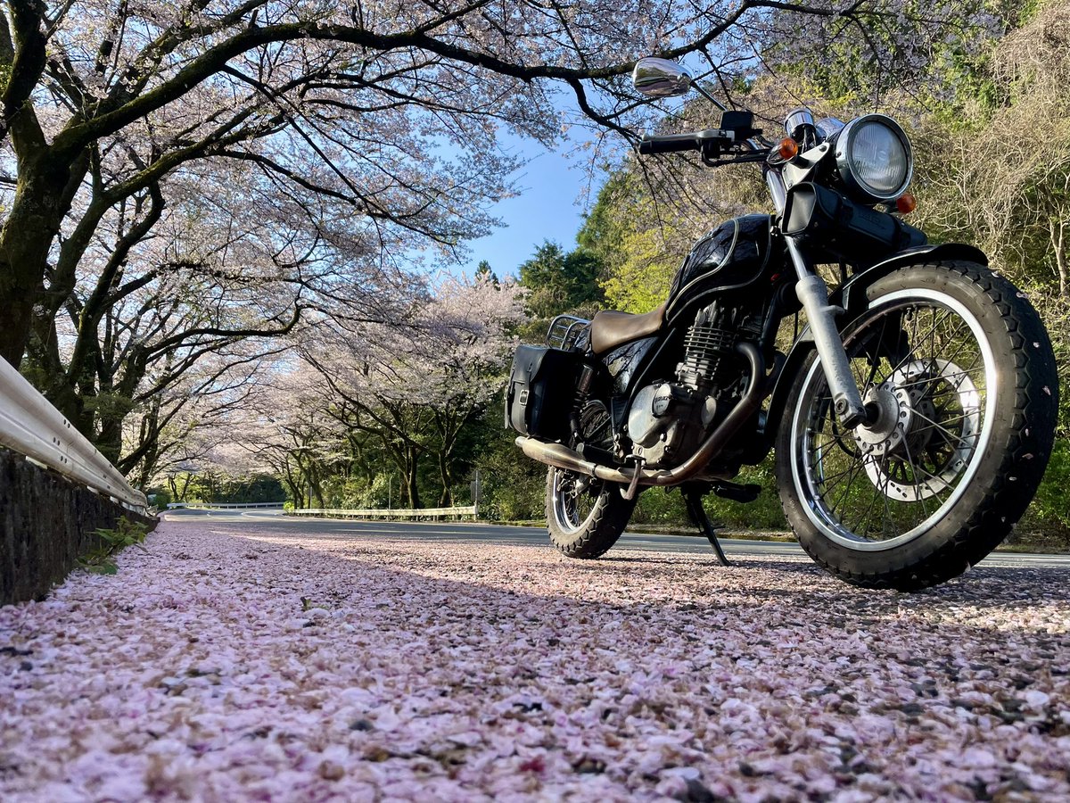 Volty_0025's tweet photo. 静岡ツーリング！

箱根ターンパイクで桜の絨毯を堪能
夢のつり橋と両国吊橋を満喫
さわやかでげんこつハンバーグをいただきました
閉店した喫茶飛行場にも行ったのですが更地になっていました、残念…
浜名湖大橋を渡って浜松グラウンドゴルフガーデンのDC-3をみてきました！🛫

走行距離600km https://t.co/4Jitahckro