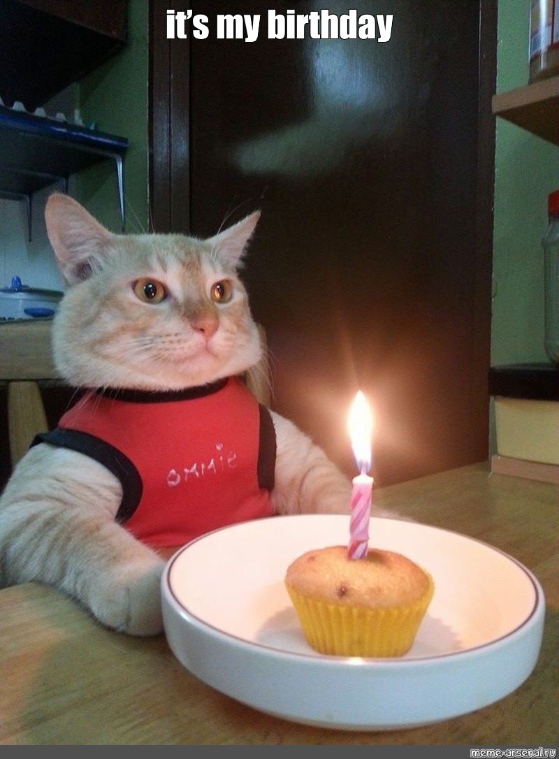 poetrybymario's tweet image. #LauraNeverLoses Our heroine @LAURASTYLEZ pulls out the victory which is EXXXTRA sweet because it's my BIRTHDAY! @oldmanebro must hold this L &amp;amp; it only makes sense. #BirthdayVibes 

@EBROINTHEAM @ShaniKulture