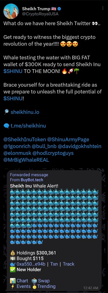 simulationcto_x's tweet photo. @100xAltcoinGems $SHINU #SHEIKHINU https://t.co/nVR2NaAF8W
