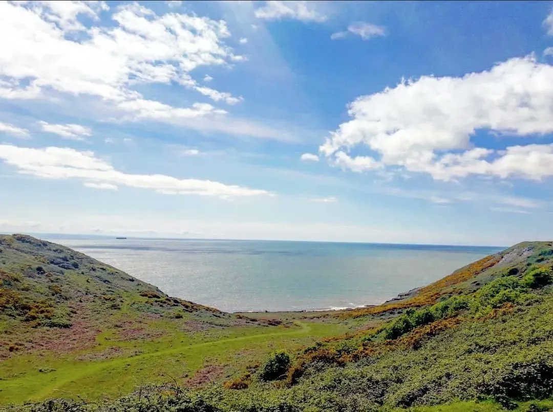 ClyneFarmCentre's tweet photo. Deep Slade Bay - Beach of the Week!
Nestled between East cliff and Pwll Du head, Deep Slade is a hidden treasure. A secluded pebbly beach, with fantastic rock formations, perfect for family adventures and dog walks. 

#BeachOfTheWeek #DeepSladeBay #ClyneFarmCentre https://t.co/nBngMABsrC