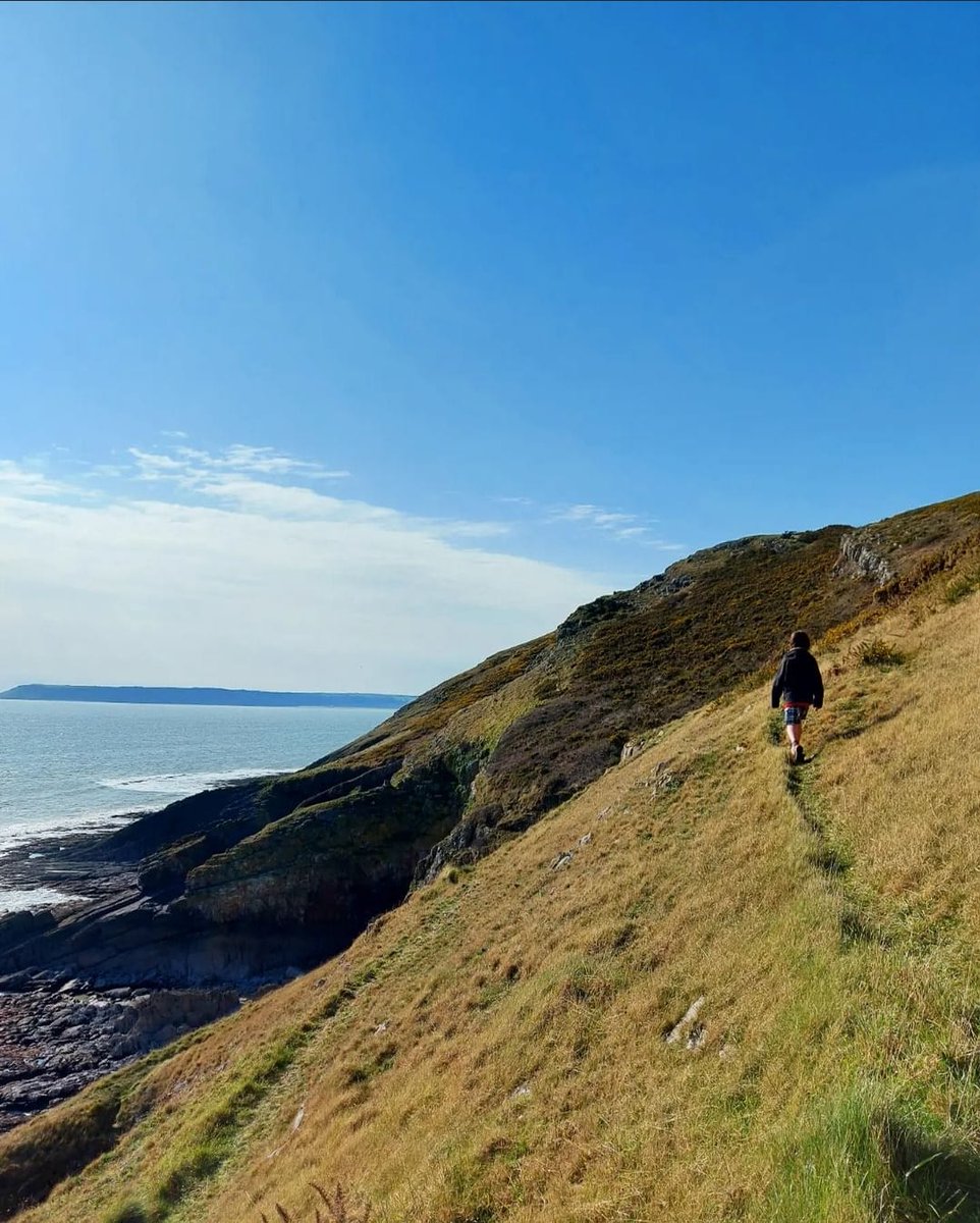 ClyneFarmCentre's tweet photo. Deep Slade Bay - Beach of the Week!
Nestled between East cliff and Pwll Du head, Deep Slade is a hidden treasure. A secluded pebbly beach, with fantastic rock formations, perfect for family adventures and dog walks. 

#BeachOfTheWeek #DeepSladeBay #ClyneFarmCentre https://t.co/nBngMABsrC