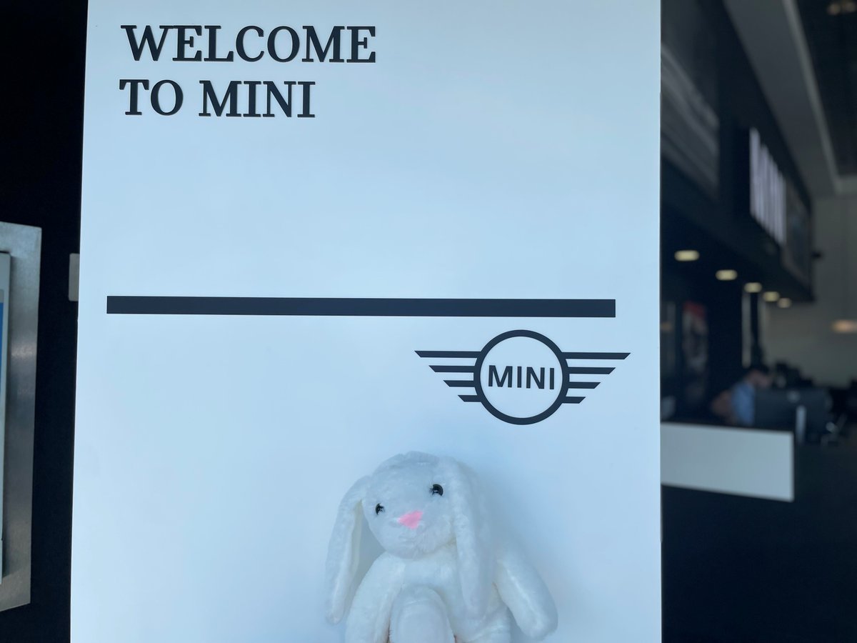 SytnerMINI's tweet image. We’ve got an exciting addition in the MINI showroom this weekend – Keep your eyes peeled for Ginny the Rabbit who will be exploring the MINI range over Easter! #wheresginny #ginnyinthemini #sytnermini #minirange #miniuk #minielectric #minicars