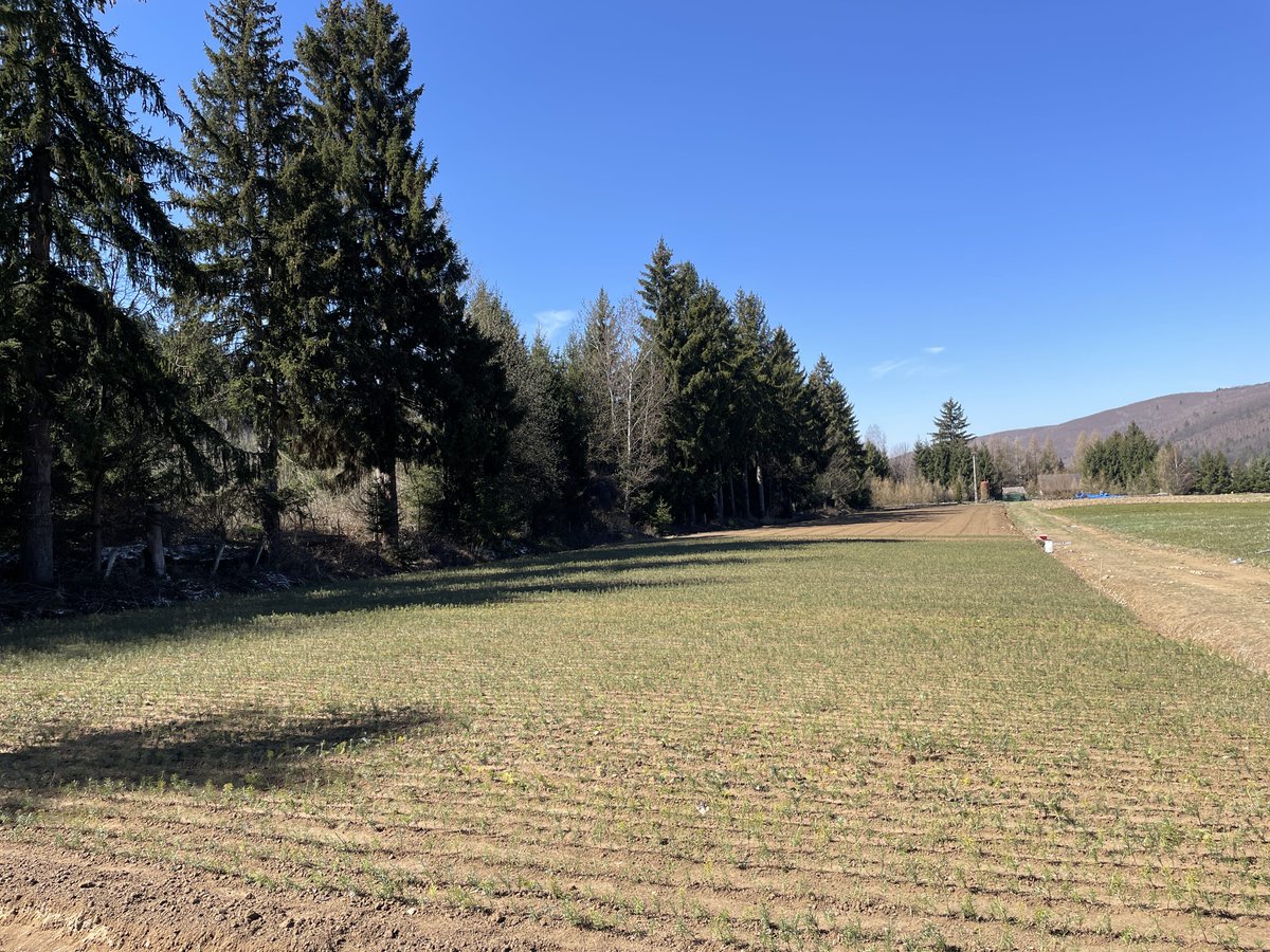 RNP_Romsilva's tweet photo. ℹ️ 🇷🇴 Lucrări #silvice în pepiniera Ocolului Silvic #Covasna din cadrul #Romsilva

ℹ️ 🇬🇧 #forestry works in #forest nursery of Covasna Forest District, in Covasna county, in #Romania  

#forests #nature #păduri #pădure #silvicultură #ForestryWorks https://t.co/YiPEhKdYg8