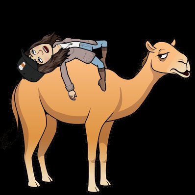 Rachel Clark tweet media