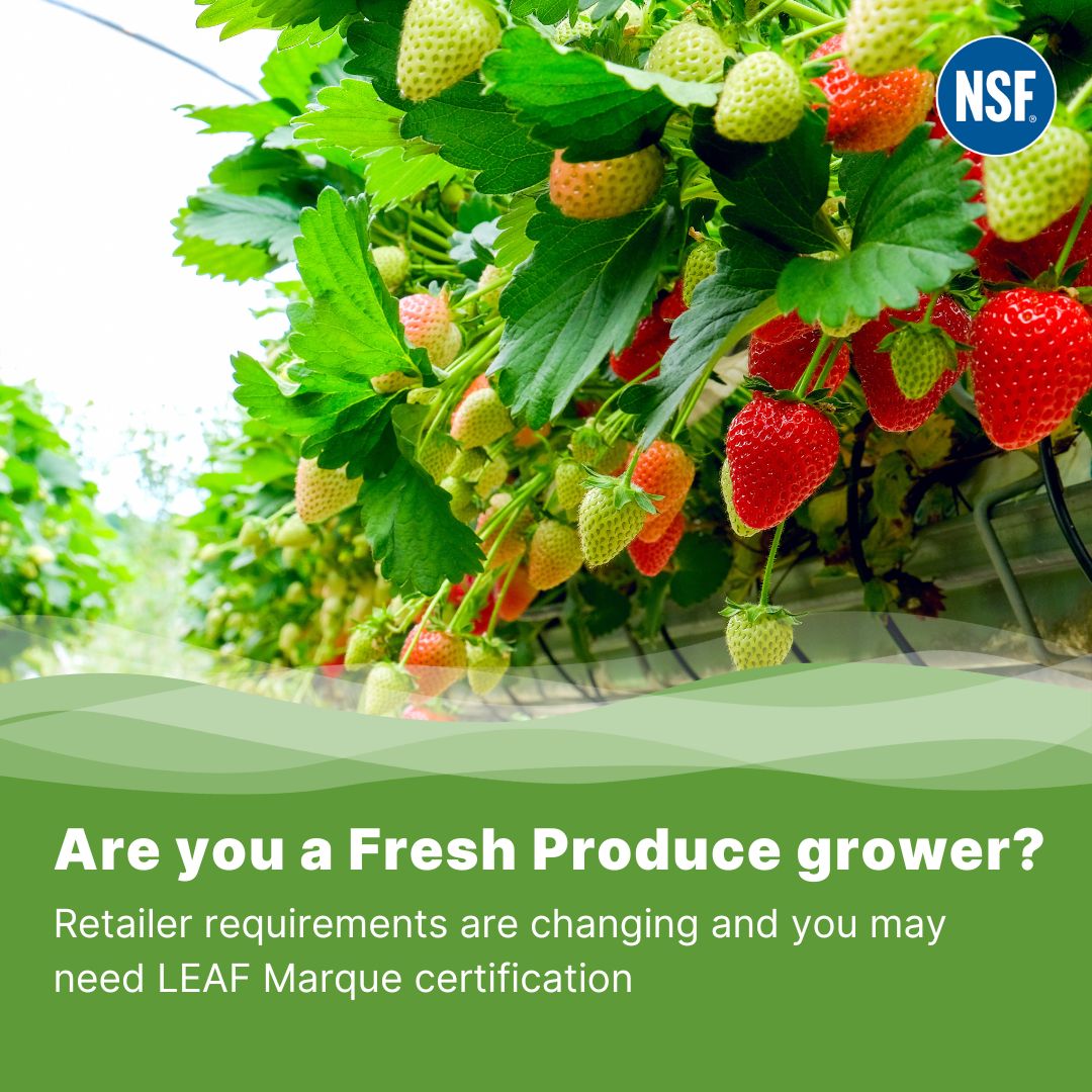 Find out more in our handy guide that talks you through the process of becoming LEAF Marque certified.  
Download here bit.ly/3Kx7OqA