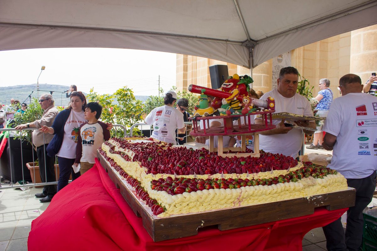 This sunday go to the strawberry festival!!!🍓🍓🍓