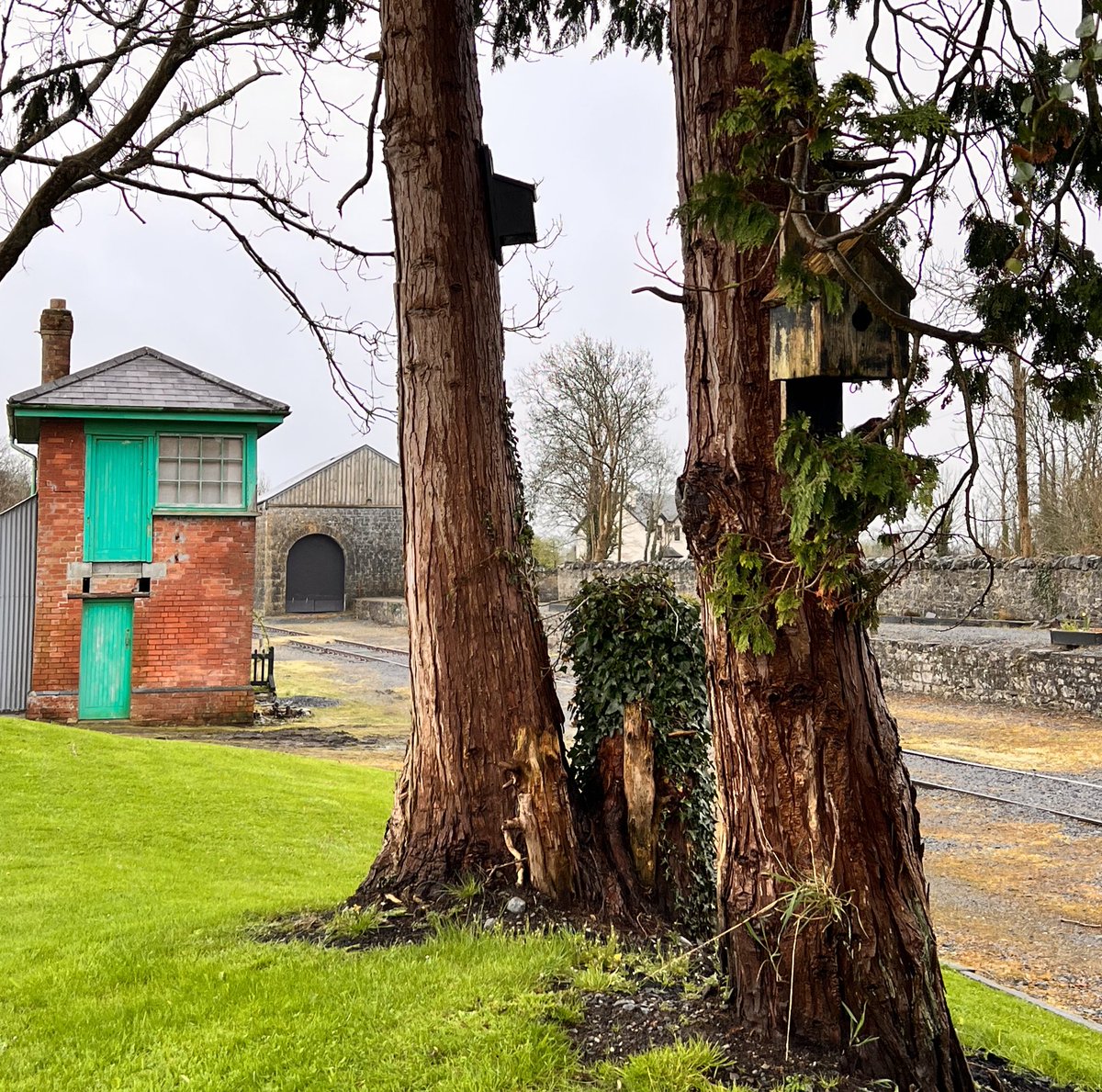 Ballyglunin Station tweet media