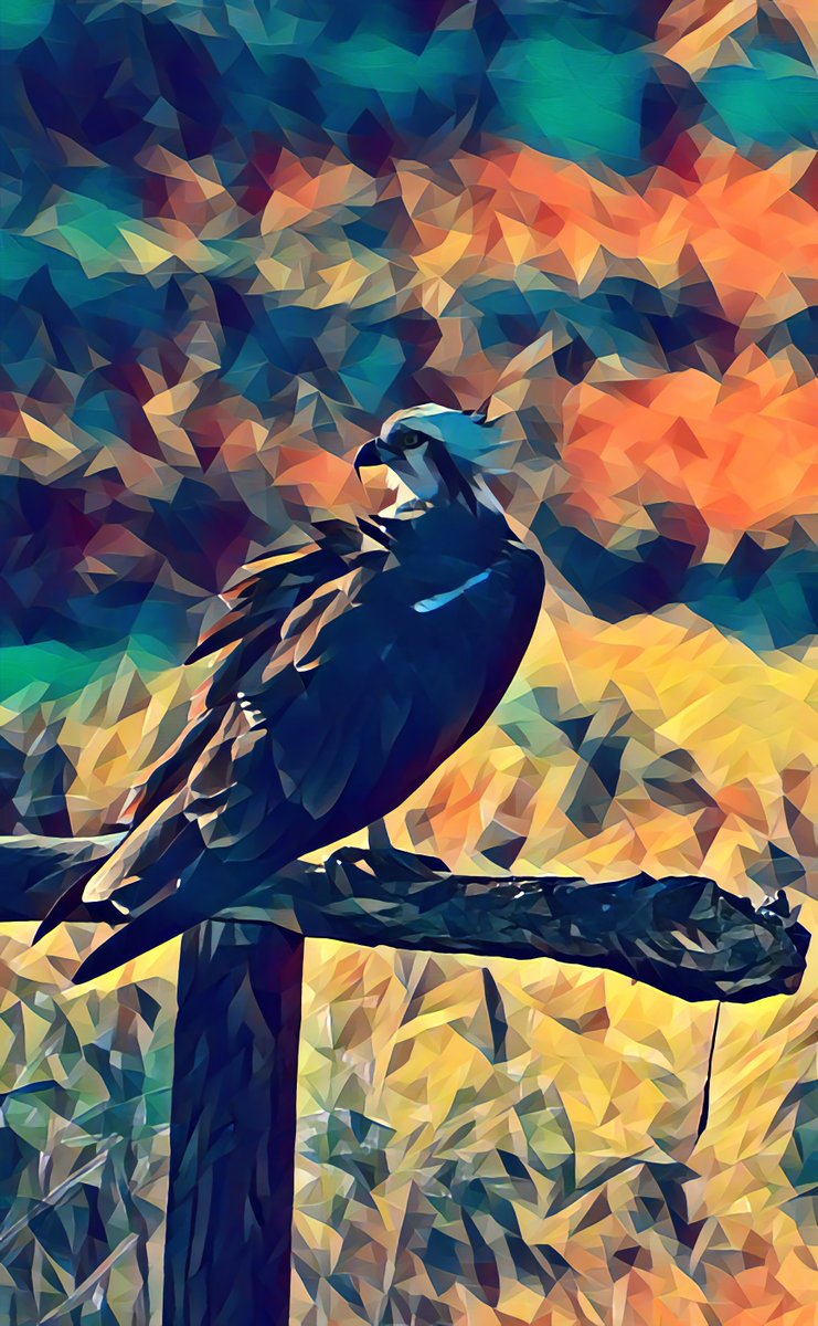 PapaBeardedDrop's tweet photo. "Cooper's Hunter Poly" also feels like it shows some of my improvement as a photographer 😆

Here it is side-by-side with one of the original mints

#BestOfPB ~ 7/7 ~ 2.5 $XTZ
https://t.co/CnkR8jZB2E https://t.co/z39x1FM0rJ