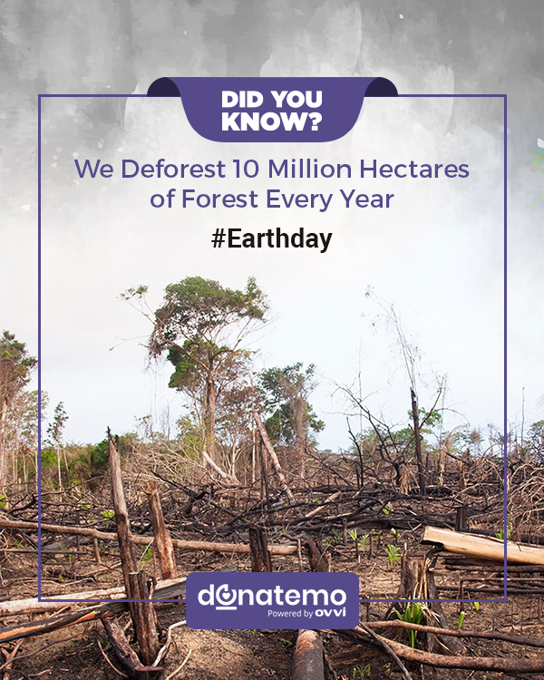 Let’s be kind towards mother Earth and make severe efforts to restore it.

#donatemo #unitedstates #onlinegiving #donation #texttogive #earthday #earth #nature #green #sustainable #sustainableliving #plasticfree #ecofriendly #recycle #gogreen #ZeroWasteDay