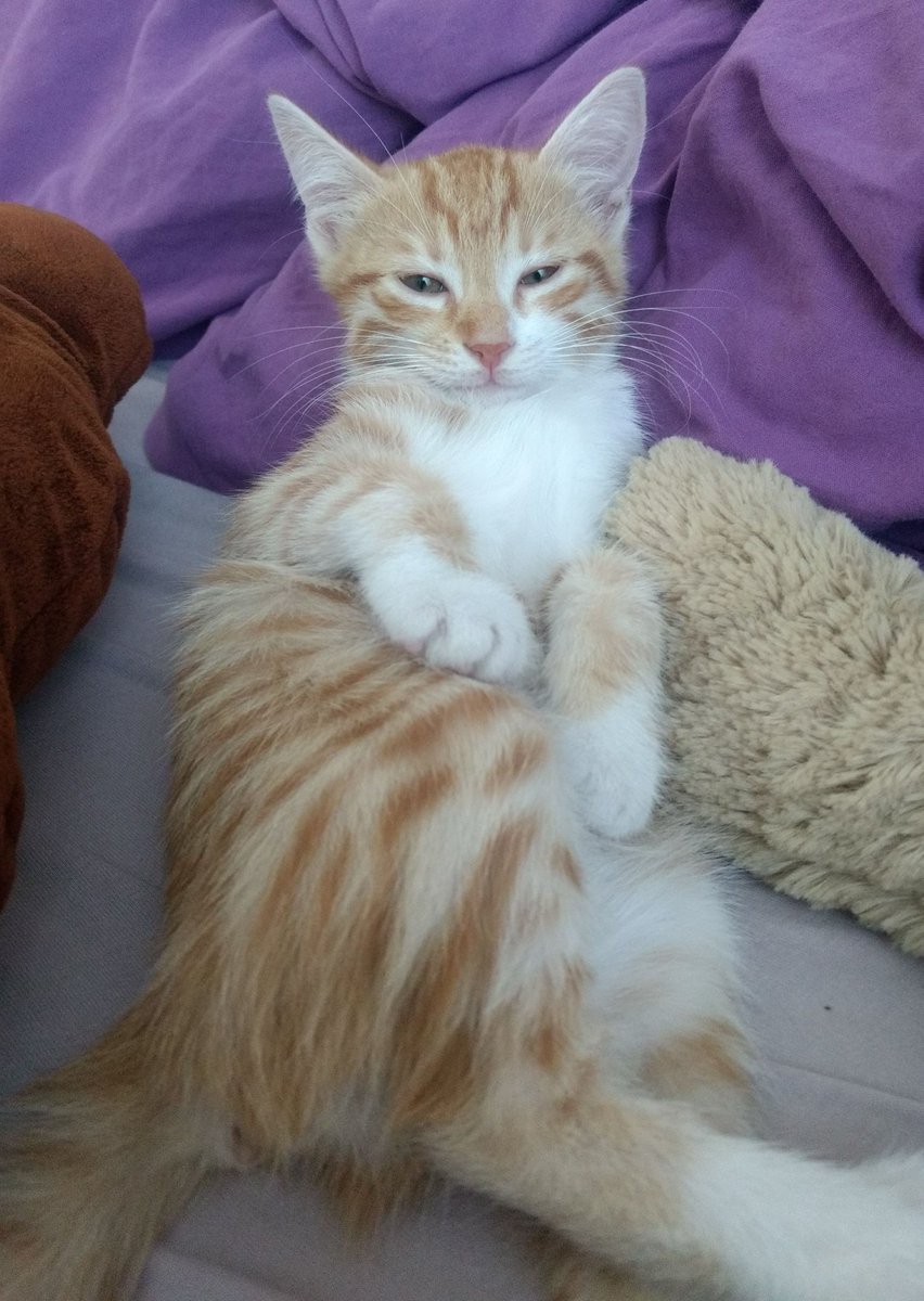 AycaAkgunn's tweet photo. Nazar değdirmicekseniz göstereyim fibisu ve kıymetsu https://t.co/Rbrc1cXxP9