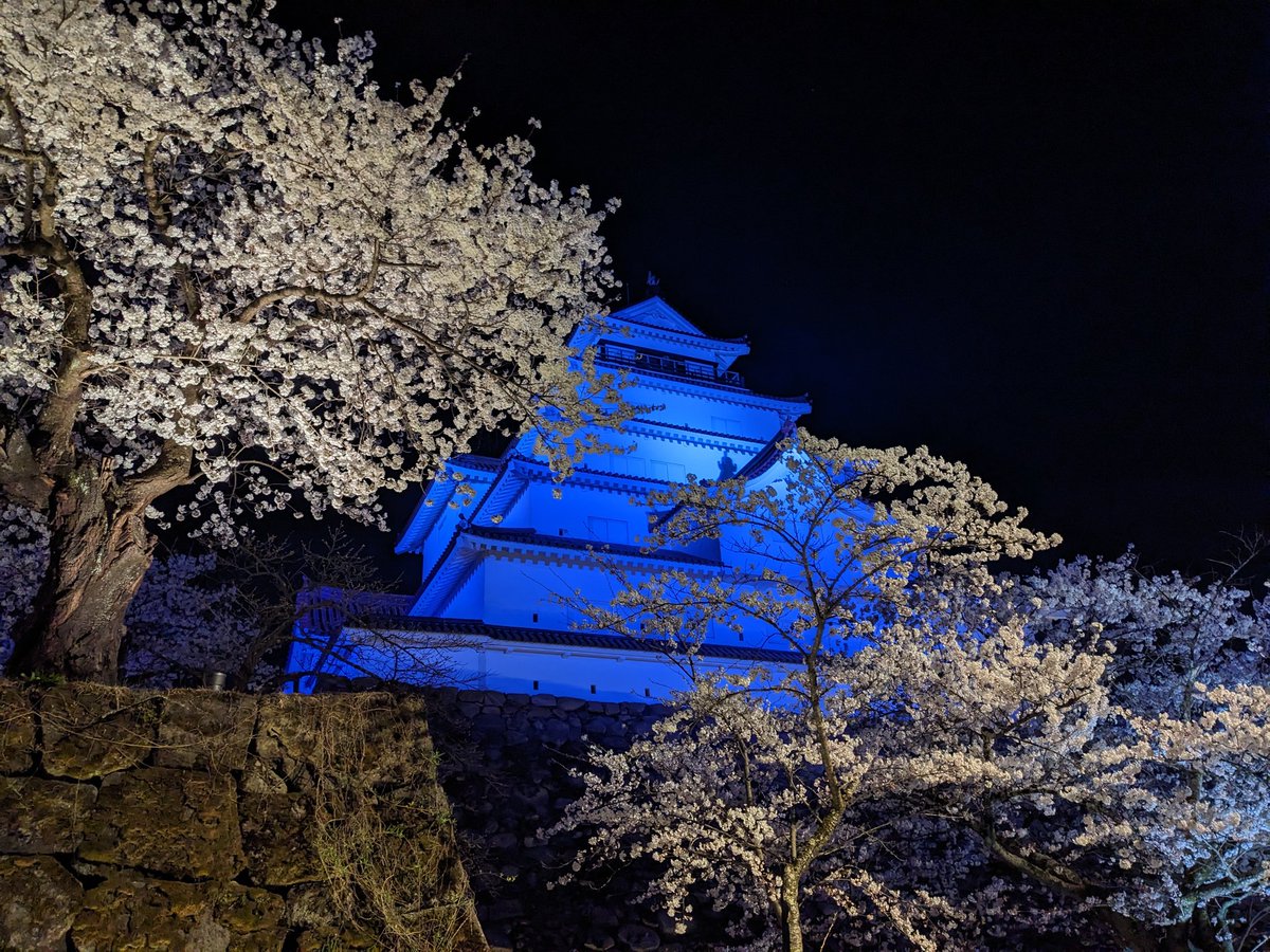 yoshi4322's tweet photo. 鶴ヶ城満開! https://t.co/icRUzLlviv