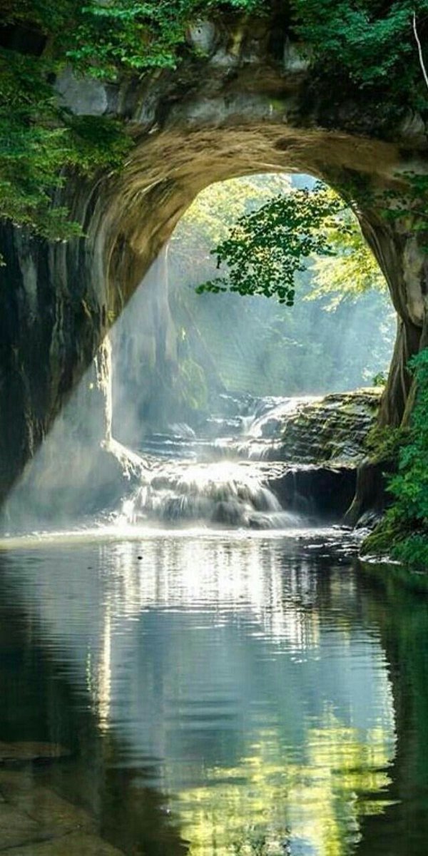 GoodMusicRelax's tweet photo. Good morning 
#Nature https://t.co/n2HGJSyJ8o