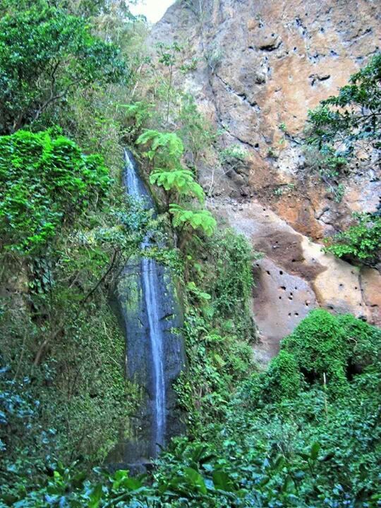 Buenos días ☀️ 💚
#NicaraguaLinda #Ticuantepe 🍍