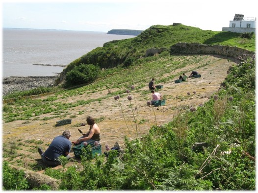 HeritageFundCYM's tweet photo. ONE WEEK TO GO –  We’re recruiting two new Wales Committee members and are interested in someone with skills and experience in historic buildings or environments; land and nature and environmental sustainability. Closing date is 12 APRIL: 🏦⛪️🌳🌿🐞🦋🐠🦐👉https://t.co/j4MZRf4qX1 https://t.co/7Il68ZTLCO