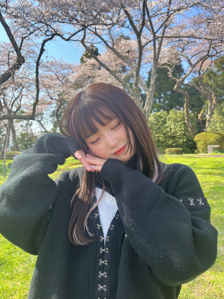 mk_dolife's tweet photo. お花見���たよ🌸 https://t.co/lxtySZO1An