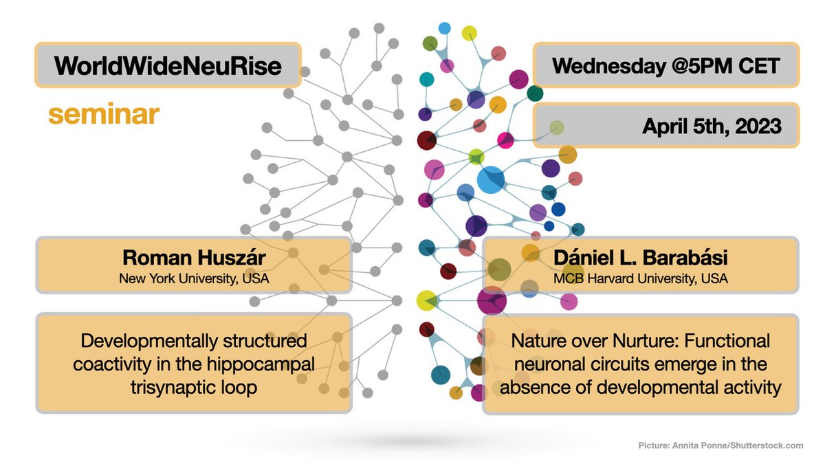 WWNeuRise tweet media