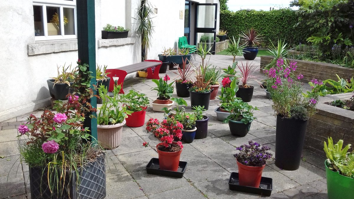 alisonbeach611's tweet image. Looking back on previous years at that other garden - these from 2019.  Everything changed in 2020 when the garden was closed for 20 weeks due to lockdown but 2019 went really well.  #LL2019