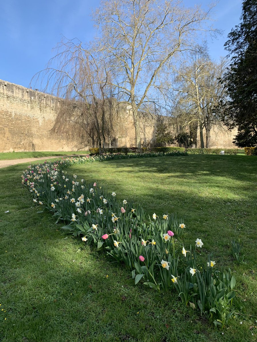 Oyez, oyez ! 🎺
Reprise des visites guidées au château de Gisors. Venez vous imprégner de l’histoire du Duché de Normandie et du Royaume de France. On adore !❤️
<a href="/GisorsOfficiel/">Ville de Gisors</a> <a href="/Jose_CERQUEIRA_/">José CERQUEIRA</a> <a href="/AlexRassaert/">Alexandre Rassaërt</a> <a href="/TOURISME_GISORS/">OFFICE DE TOURISME</a> 
#GisorsJadore #Patrimoine