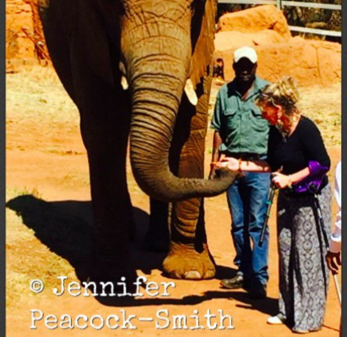 SmartCrutchUSA's tweet photo. Repost worthy from @JennPeasmith I love zebras, elephants, and my #smartCRUTCH
https://t.co/1flsZTA3c8
#VulnerabilityExhasution & all #MahEeds https://t.co/LaXOWyCBHy