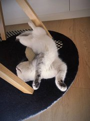 Adawo7's tweet image. Don't wait for me to sleep together every day