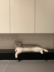 Adawo7's tweet image. Don't wait for me to sleep together every day