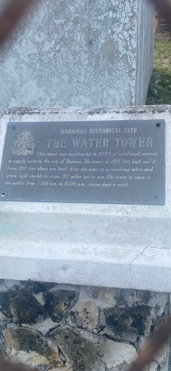 Beate Wright tweet media