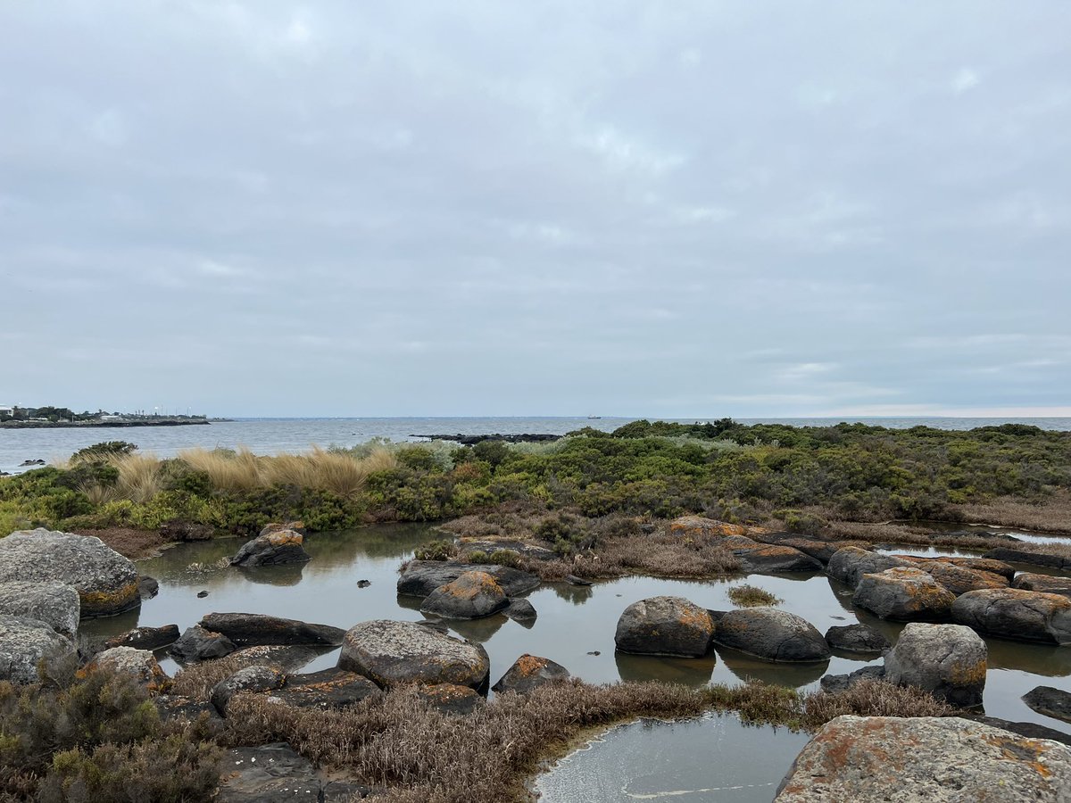 Evening walk with the hubby today - discovered a gorgeous nature reserve nearby.