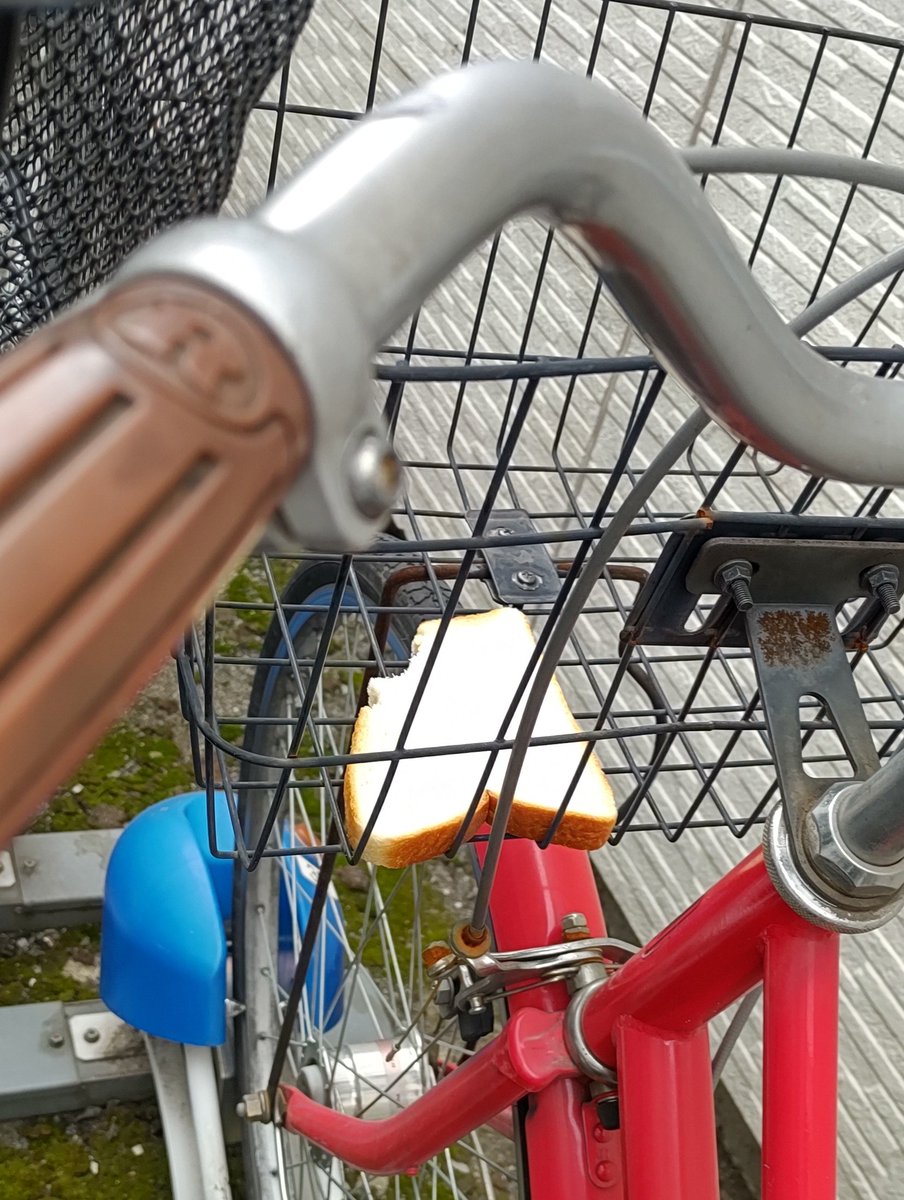 この写真でこの方がどれだけ壮絶な朝を過ごした事が分かります…
しんどいけど、頑張れっっ٩( •̀ω•́ )ﻭ