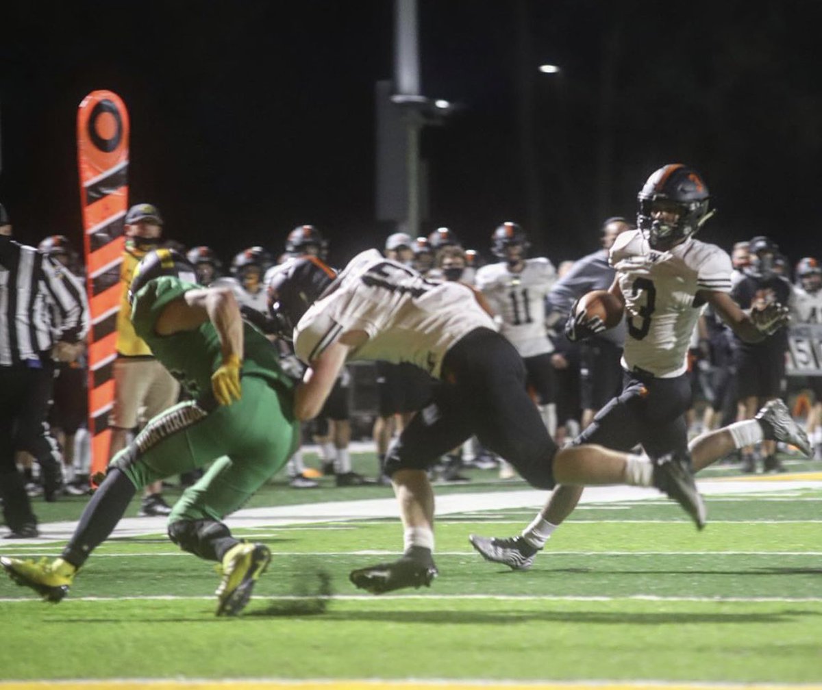 Michael Curtis tweet media