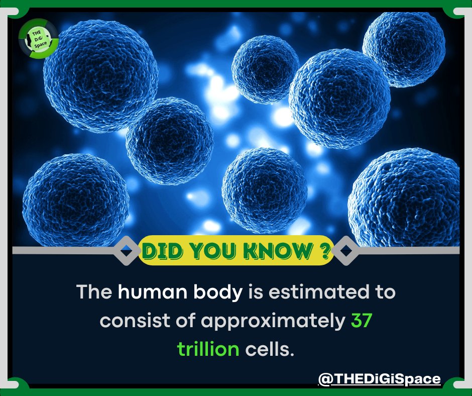 TheDigiSpace369's tweet image. SUPPORT US !
On Facebook 👇👇
facebook.com/TheDiGispace369
On Youtube 👇👇
youtube.com/channel/UCdNM5…

#BodyFact #CellCount #TrillionCells #HumanBodyScience #BodyComplexity #thedigispace #HealthyCells #BiologyWonders #BodyStructure #CellularMiracle #HealthAndScience