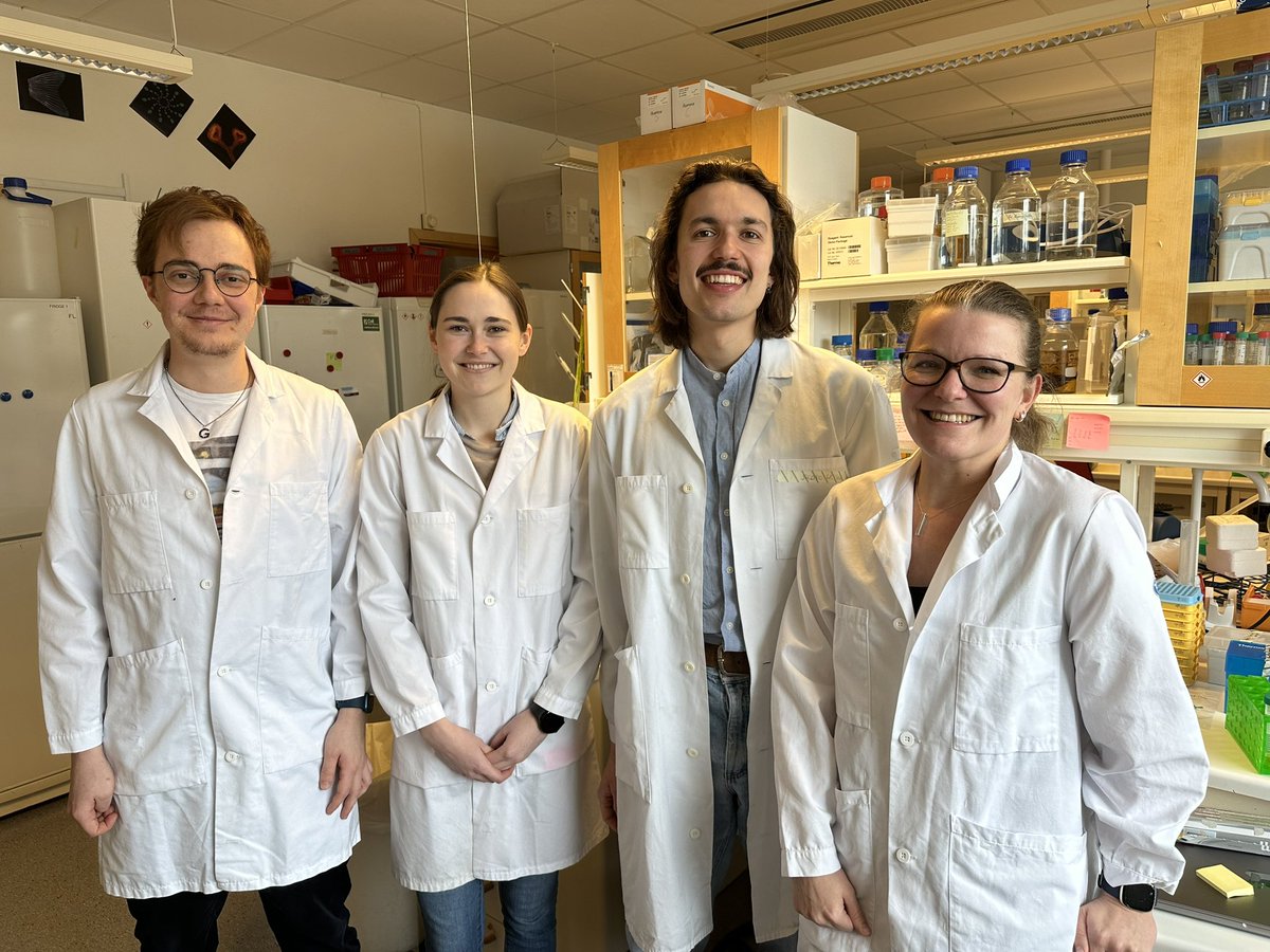 @AnnaNordin96  and I from @ClaudioCantu81 lab are thrilled to have hosted @KimBoonekamp and @jwernerle from @Boutroslab to learn CUT&RUN LoV-U and start an exciting collaboration!

For details 👇
doi.org/10.1242/dev.20…

@WCMM_at_LiU
@liu_universitet