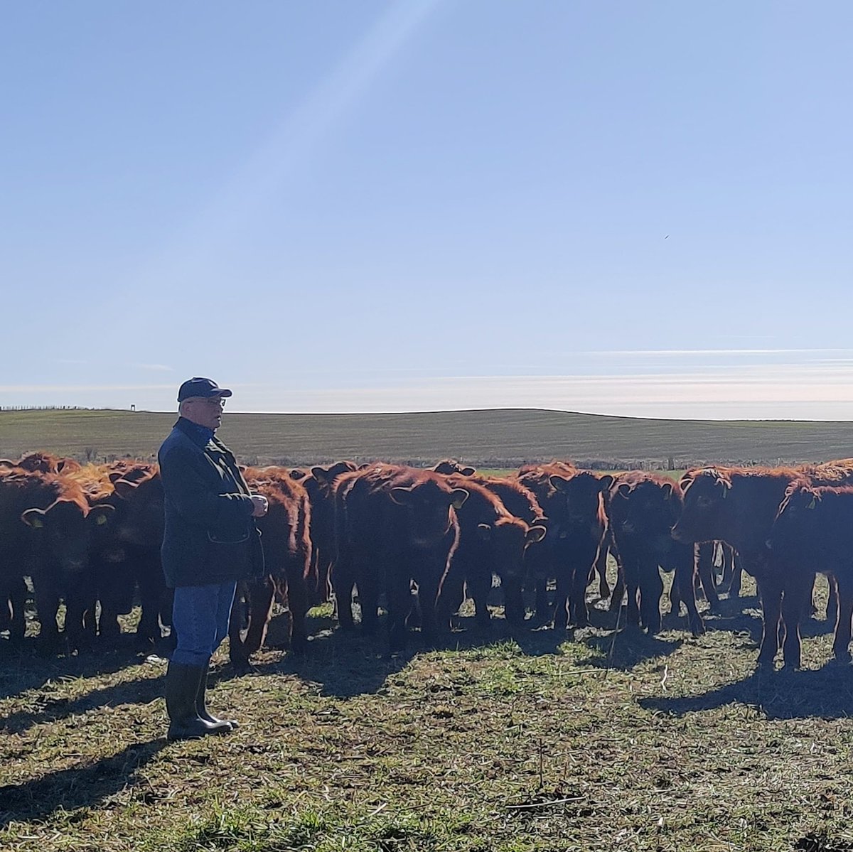 Field Farm Tours Ltd tweet media