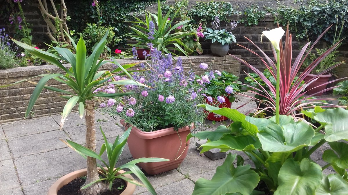 alisonbeach611's tweet image. Last few for today.  This was 2019, my third year here.   No-one knew in 2019 that Covid was coming and was to change our lives forever.  #LL2019