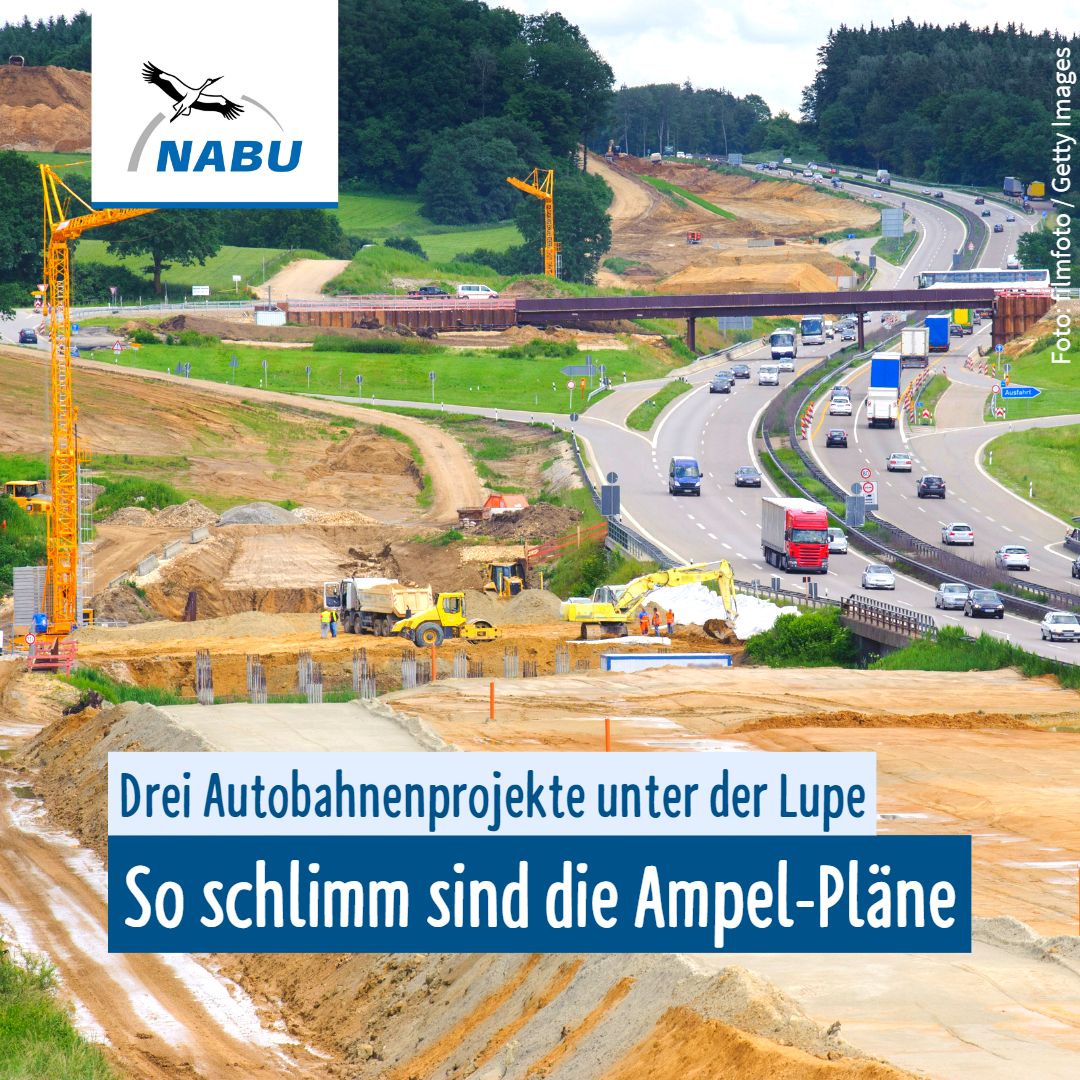 🤯Es war die Horrorzahl des #Koalitionsausschuss: 144 Autobahnprojekte sollen durchgedrückt werden. Ein Asphalt-Boom während #Klimakrise+#Naturkrise. Wir haben mal geschaut, was der „Big Shot“ (#Wissing) für die Natur bedeutet, anhand von 3⃣ Beispielen. #Hessen #Bayern #NRW  1/5