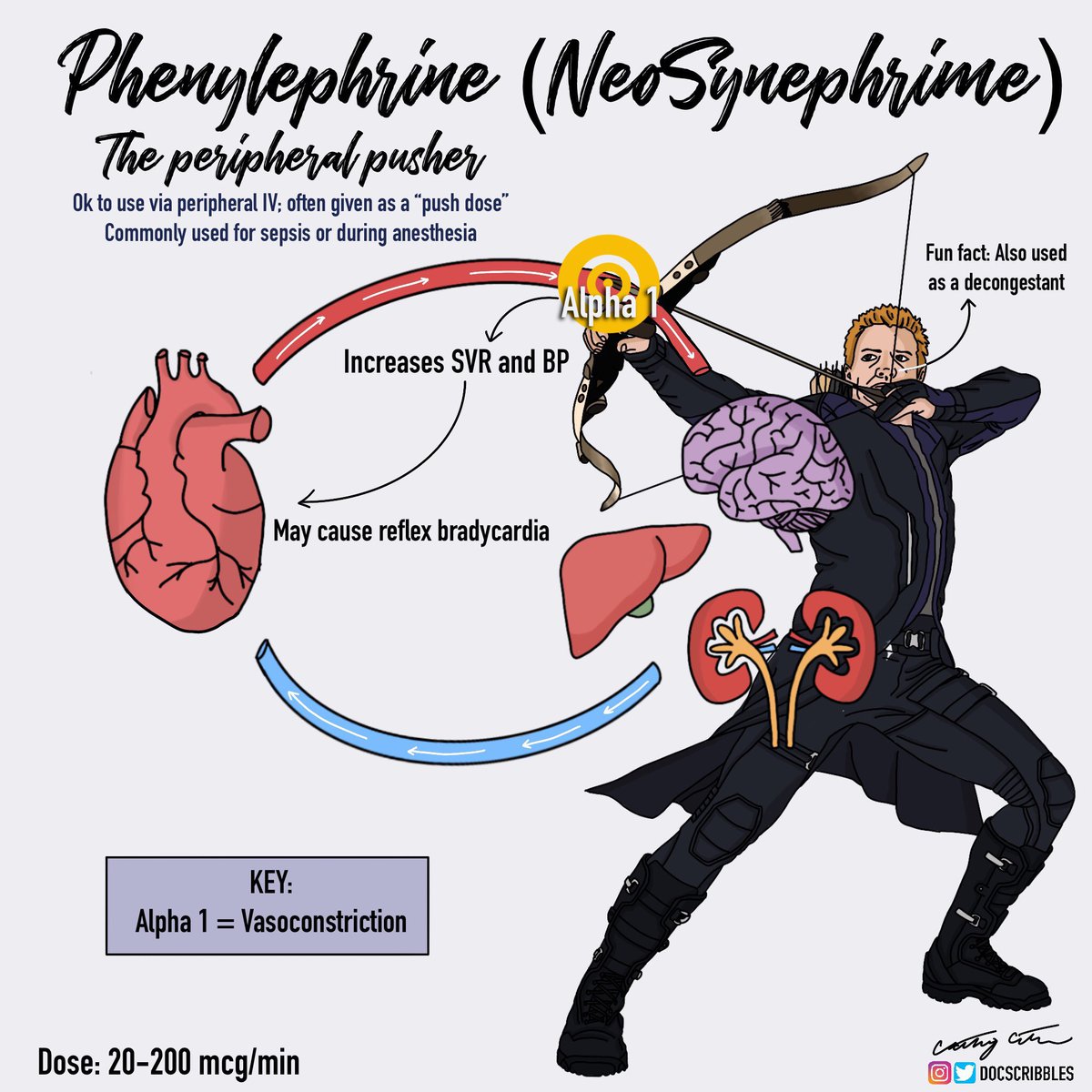 BrownJHM's tweet photo. Vasopressors commonly used in the ICU @DocScribbles #Medtwitter #MedEd https://t.co/CbSecuUPGE