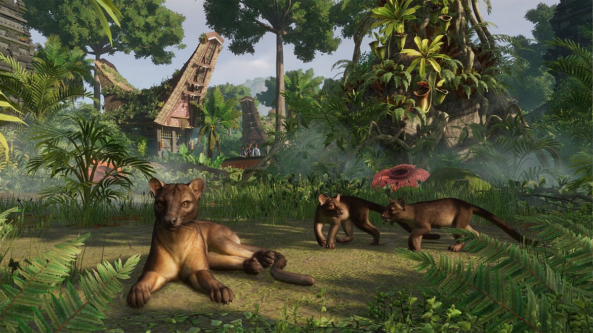 gamesplanet_com's tweet photo. Heute haben wir den Weißhandgibbon, das Pinselohrschwein, den Bindenwaran und das Braunkehl-Faultier für euch. Und sogar ein neues Kampagnen-Szenario in Indonesien. Nur 8,99€.
🐒 https://t.co/k5zhigdvyI
#planetzoo #tropicalpack #dlc https://t.co/cNglXK7xQg