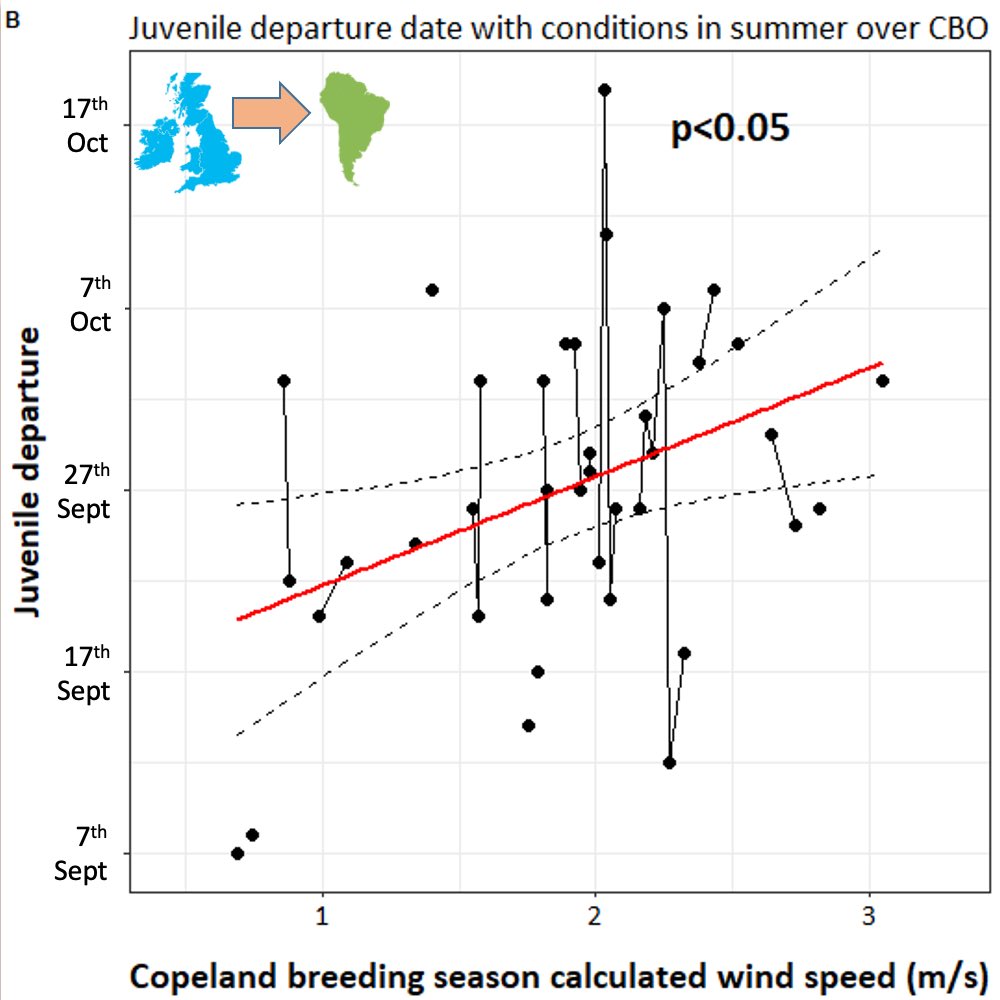 NiamhEsmonde's tweet photo. (5/6) #BOU2023 #BREAK3 Models predicted windy conditions throughout the #summer delay juvenile departure (Img 1&2) whilst strong #southerly winds on Copeland between Sept-Oct predicted fledglings depart earlier (Img 3). No discernible pattern for adults was found. https://t.co/bmA3Xx7ubz