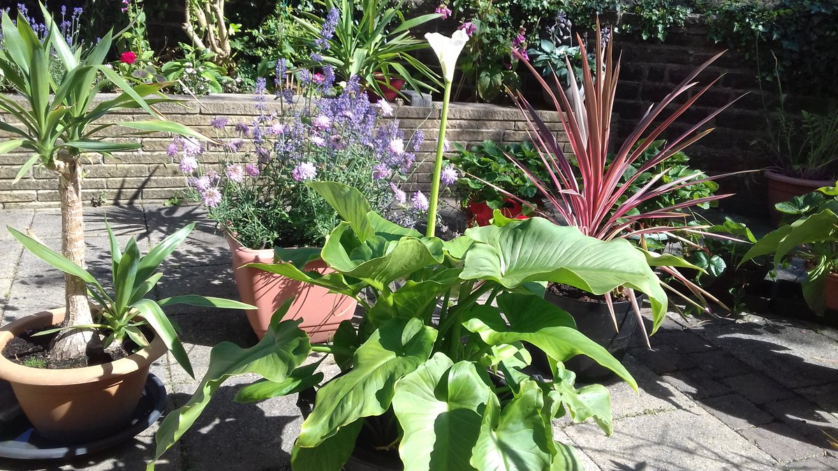 alisonbeach611's tweet image. Last few for today.  This was 2019, my third year here.   No-one knew in 2019 that Covid was coming and was to change our lives forever.  #LL2019