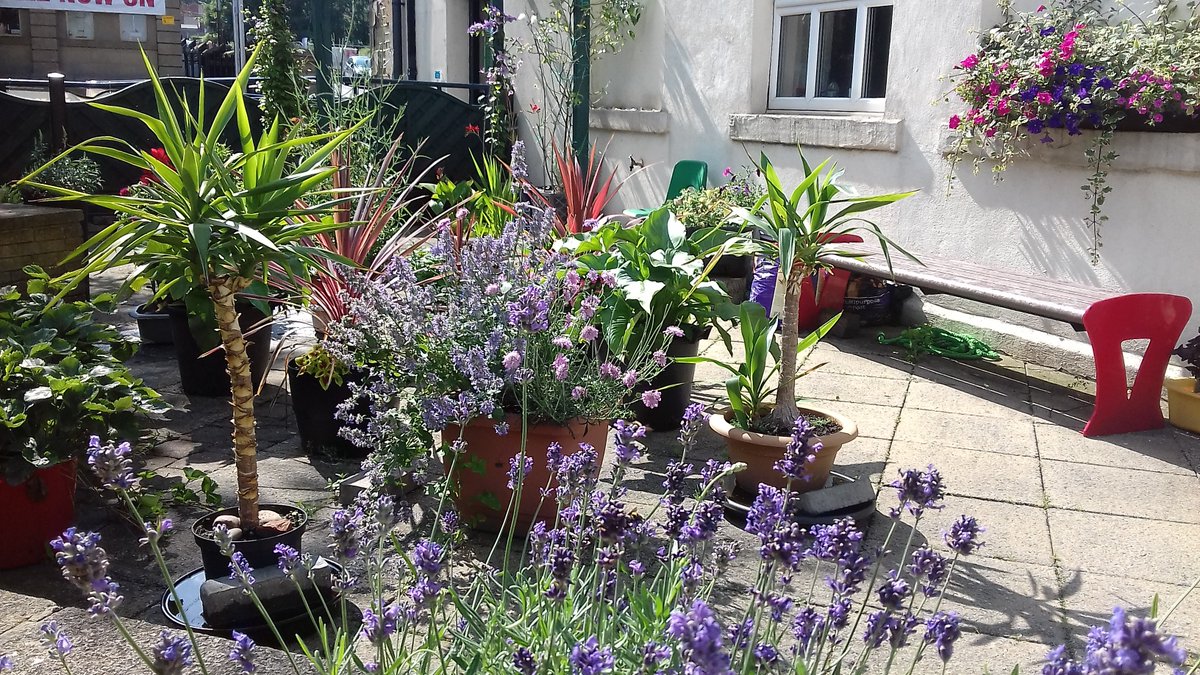 alisonbeach611's tweet image. Last few for today.  This was 2019, my third year here.   No-one knew in 2019 that Covid was coming and was to change our lives forever.  #LL2019