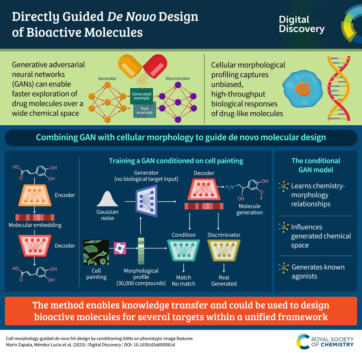We're pleased to share this new infographic on work from Marin Zapata et al., showing that phenotypic features of cell images can guide a GAN to drug candidates. Read the #openaccess article: doi.org/10.1039/D2DD00… #bioimageanalysis #deeplearning #ML #cellpainting #drugdiscovery