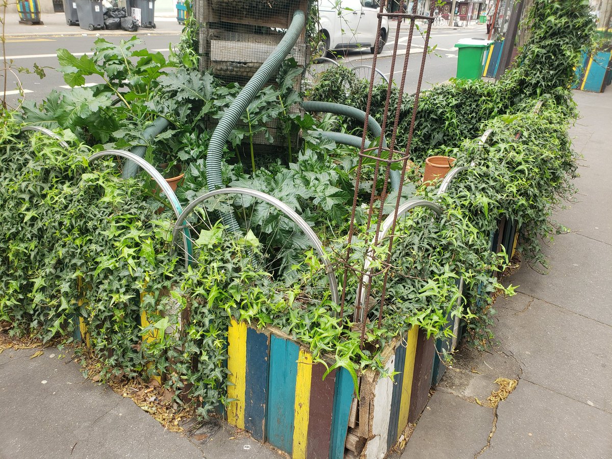 Végétalisation des pieds d'arbre façon #saccageparis ou comment recycler des roues de vélo !