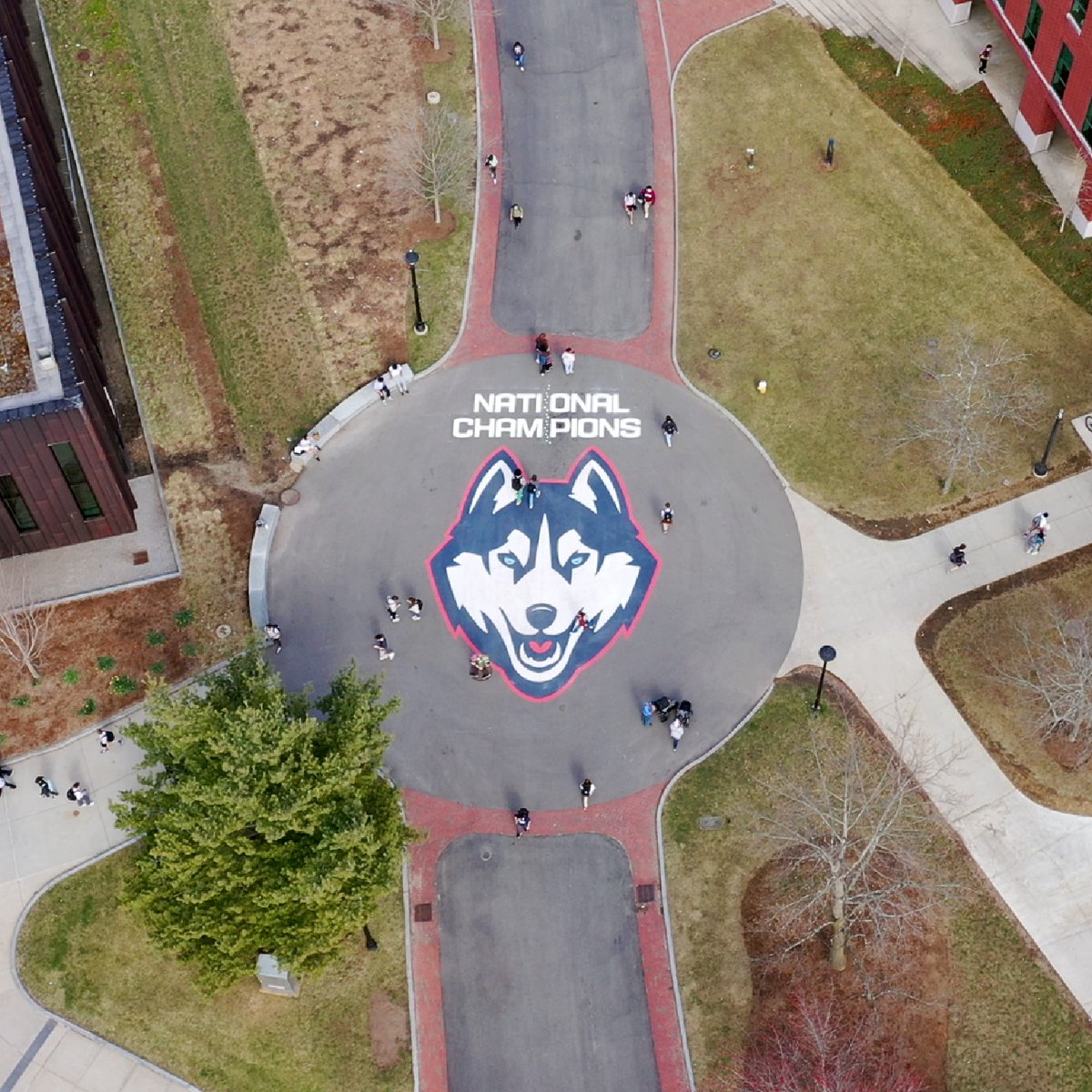 A very important update to Fairfield Way 🏆