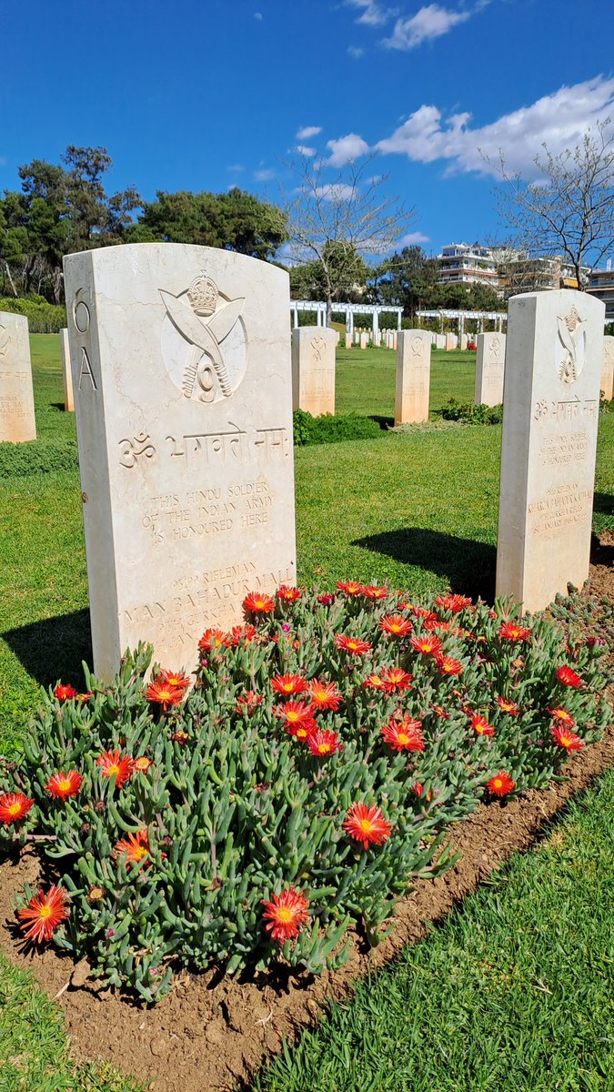 Commonwealth War Graves (@cwgc) on Twitter photo Good morning from Phaleron War Cemetery, Greece, where the malephora crocea flowers are in bloom.
RT <a href="/phaleron1964/">Manolis N. Tsoulos</a> Good morning from Phaleron War Cemetery, Greece, where the malephora crocea flowers are in bloom.
RT <a href="/phaleron1964/">Manolis N. Tsoulos</a>