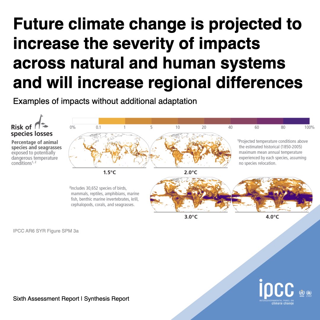 IPCC (@ipcc_ch) on Twitter photo #IPCC's Synthesis Report 
🌡️ Future #climatechange is projected to increase the severity of impacts across natural & human systems & will increase regional differences.
🦒 What is the risk of species losses at different levels of warming? 
Read more ➡️ bit.ly/SRYRpt23 #IPCC's Synthesis Report 
🌡️ Future #climatechange is projected to increase the severity of impacts across natural & human systems & will increase regional differences.
🦒 What is the risk of species losses at different levels of warming? 
Read more ➡️ bit.ly/SRYRpt23