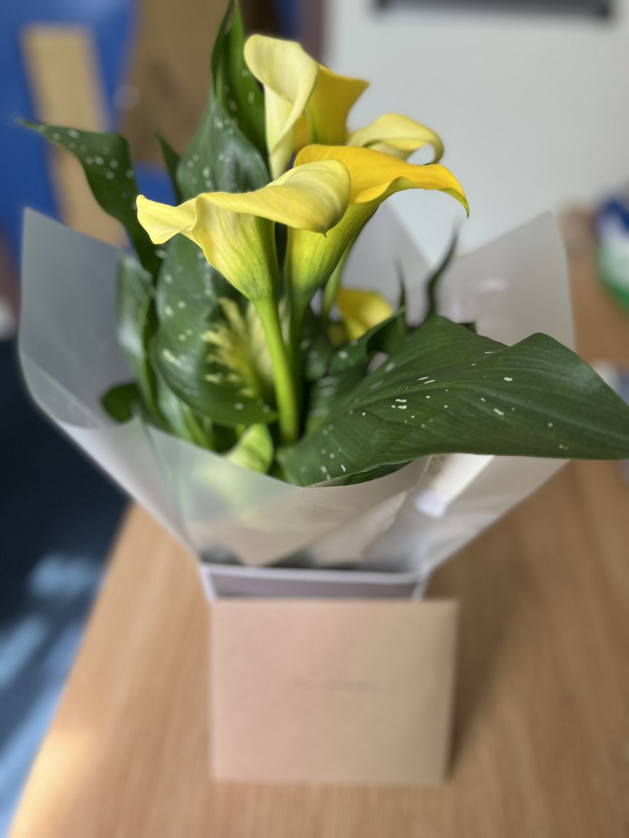 SagharMc's tweet image. A beautiful gesture by a friend and colleague- things that brighten up our days! #caring #friendship #workinglife #Thankful