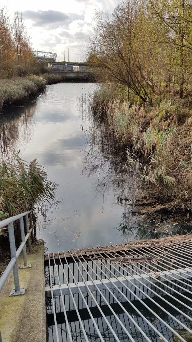 Sewer overflows to the Olympic Park Wetlands breach the threshold for action.
31 spills last year, 60 in 2021 & 58 in 2020.
We need to know what Thames Water will do to cut them.
Send our Formal Complaint & information request:
londonwaterkeeper.org.uk/formal-complai…