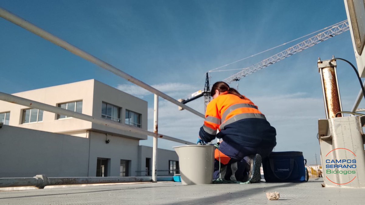 ✔ Tras limpiar y desinfectar instalaciones de riesgo frente a Legionella, hacemos la toma de muestras de agua para el análisis en nuestros laboratorios 🧪

Más información  ➡ csbiologos.com/legionella/

#Legionella #CamposSerrano #PrevenciónDeLaLegionella #SaludAmbiental