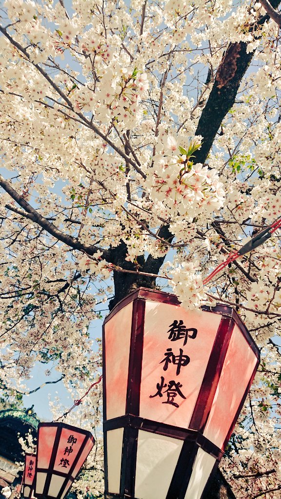 友人とバスツアーに参加して、静岡行ってきた！ツアーナースでは行ったことあったけど、プライベートでは初めてだったので、新鮮だった。天気よくて桜もキレイだった🌸 https://t.co/mthxNbBz0H