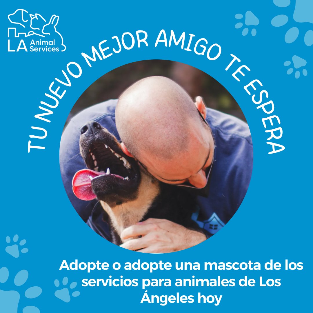 LACityPets's tweet photo. ยกAdopte o adopte una mascota de LA Animal Services hoy! Nuestras seis ubicaciones de Servicios para Animales de Los รngeles estรกn abiertas los martes y jueves, de 8 am a 5 pm, y los sรกbados y domingos, de 11 am a 5 pm. https://t.co/70sn6Zc56h #lacitypets #openarmschallenge https://t.co/XGAcsbta2W