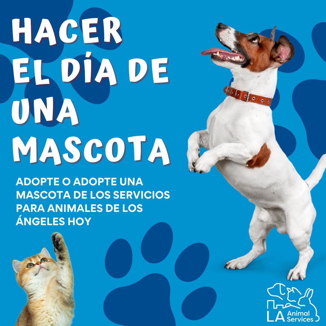 LACityPets's tweet photo. ยกAdopte o adopte una mascota de LA Animal Services hoy! Nuestras seis ubicaciones de Servicios para Animales de Los รngeles estรกn abiertas los martes y jueves, de 8 am a 5 pm, y los sรกbados y domingos, de 11 am a 5 pm. https://t.co/70sn6Zc56h #lacitypets #openarmschallenge https://t.co/XGAcsbta2W